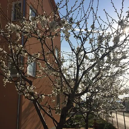 Nina Apartamento Zadar