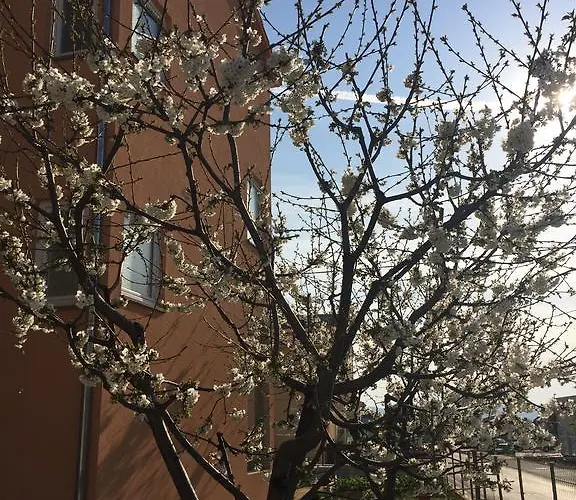 Nina Apartamento Zadar